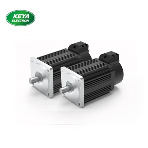 江南（中国）官方80系列48V 1KW 3000RPM
